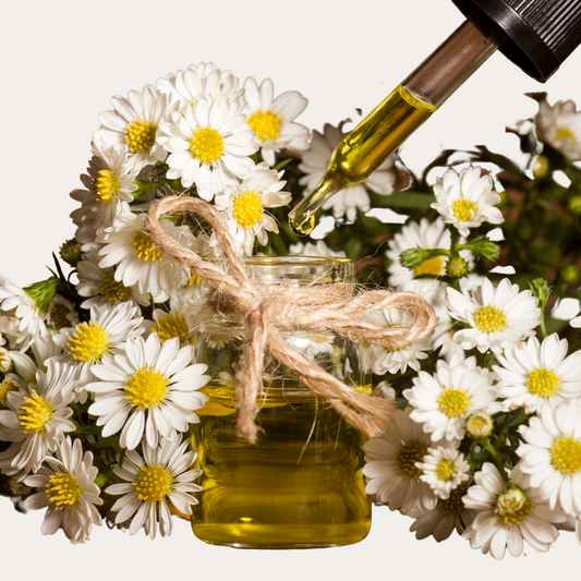 Chamomile Essential Oil - Benefits and its Use in Natural Hair Products