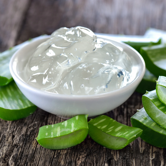 Benefits of Aloe Vera: Your Hair’s Best Friend